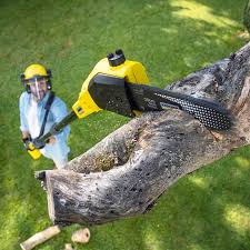 Best Lawn Grading and Leveling  in Rosendale, WI