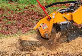  Rosendale, WI Tree Services Pros