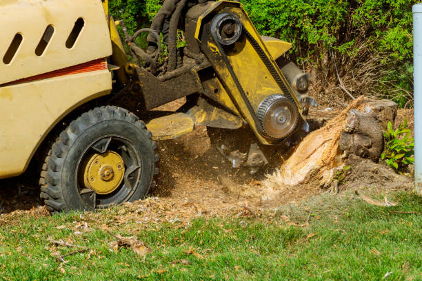 Best Lawn Irrigation Installation and Maintenance  in Rosendale, WI