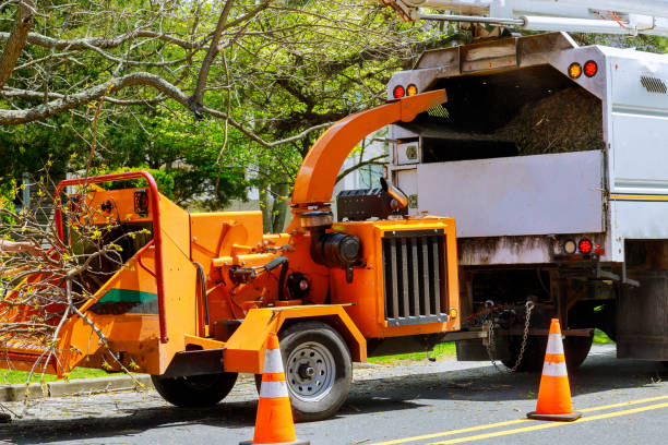 Best Tree Preservation Services  in Rosendale, WI