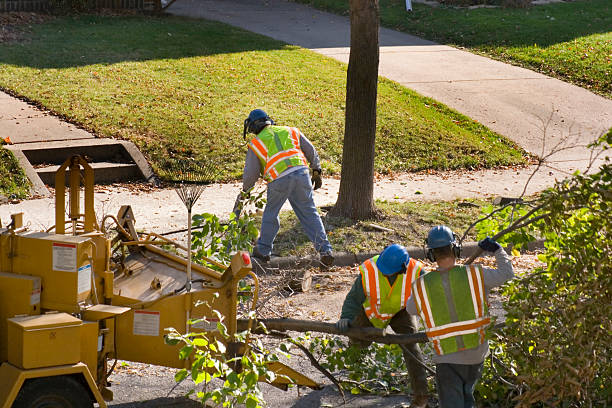 Rosendale, WI Tree Services Company