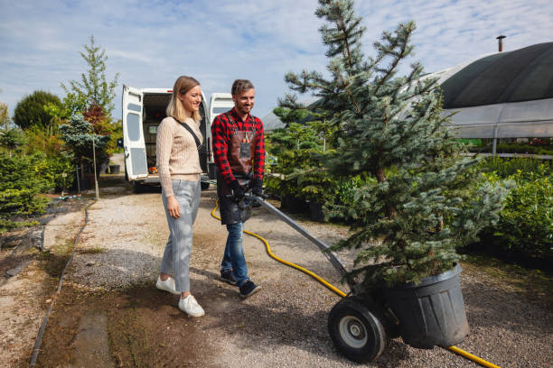 Best Tree Maintenance Programs  in Rosendale, WI