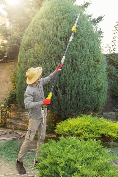 Best Artificial Turf Installation  in Rosendale, WI